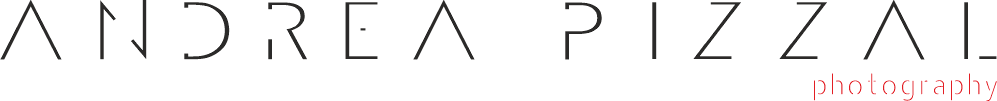 logo andrea pizzal